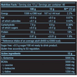 BIOTECH USA BCAA + Glutamine Zero - 480 gr